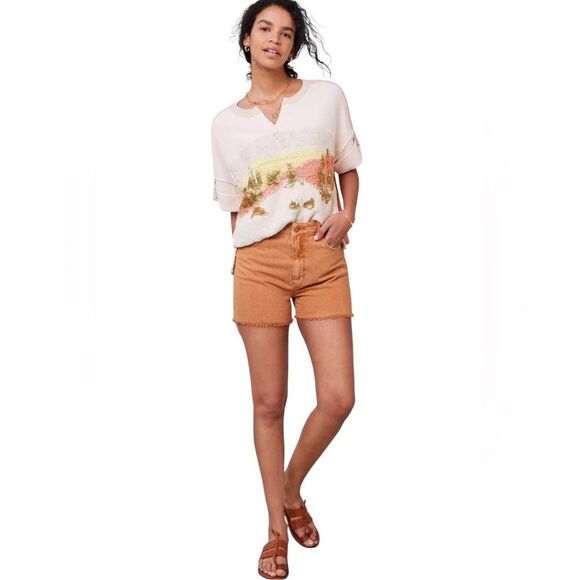 Pilcro Anthropologie Desert Intarsia Sweater Tee Womens Size Medium Cotton - Picture 3 of 15